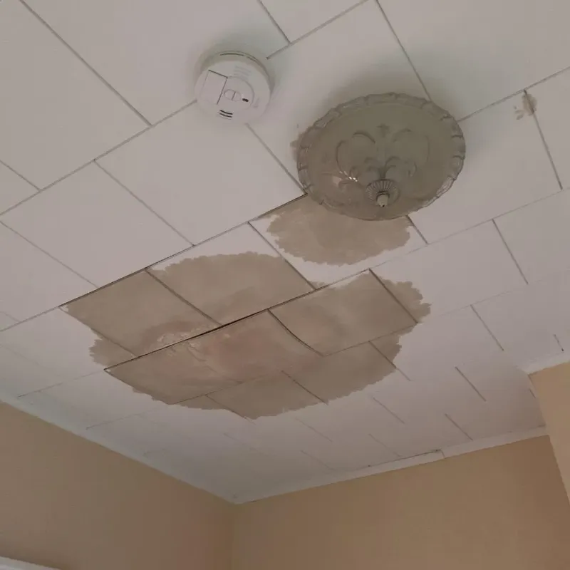Ceiling Water Damage Repair in Freeport, ME