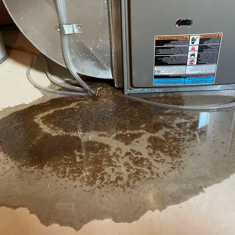 Pipe Burst and Leak Restoration in Freeport, ME